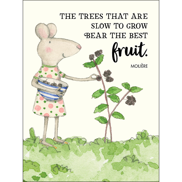 Affirmations -Twigseeds 24 Cards - Seeds of Truth - TLA001