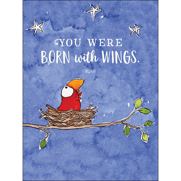 Affirmations -Twigseeds 24 Cards - A Box of Birds - TLA002