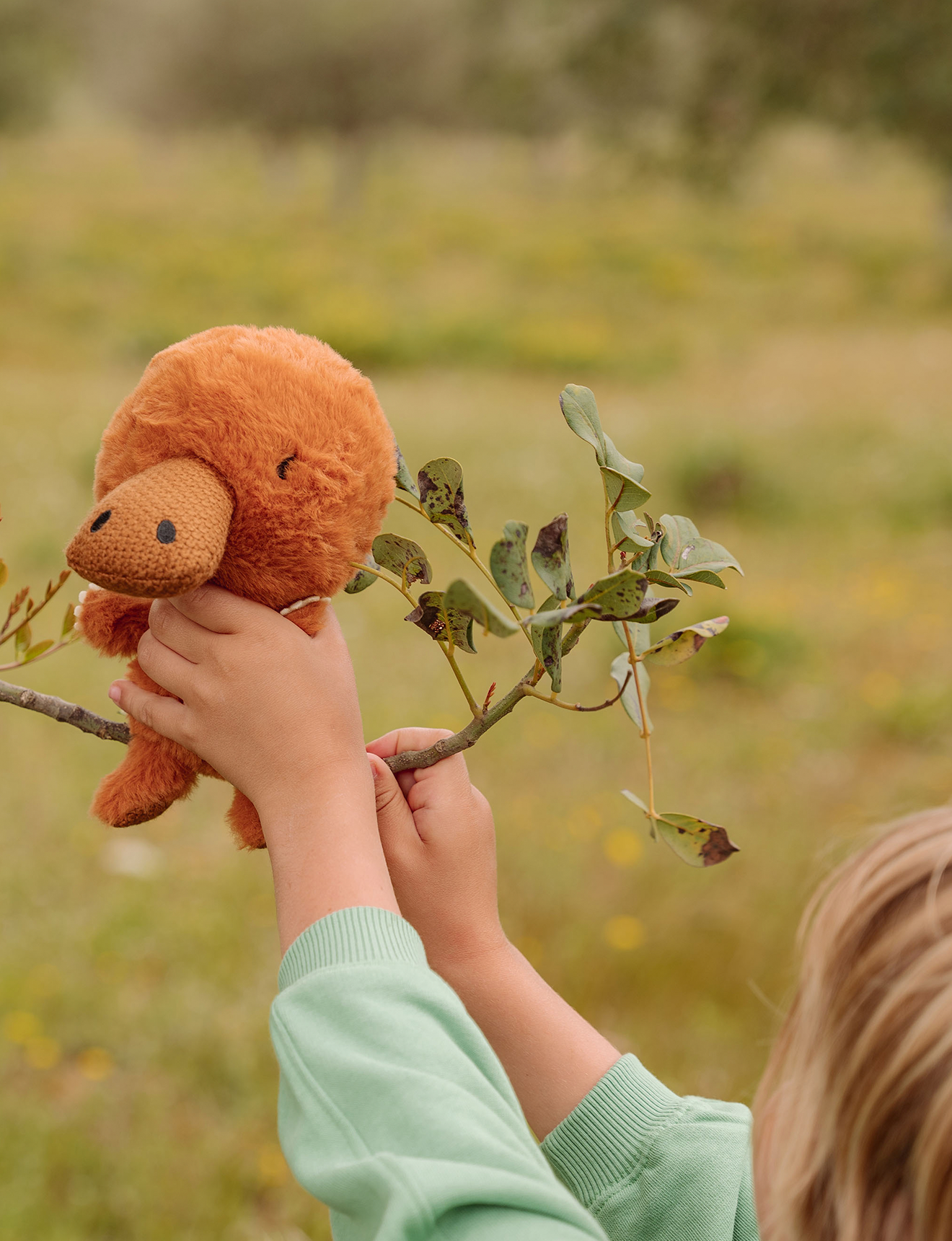 WWF Paddy Platypus - 18 cm
