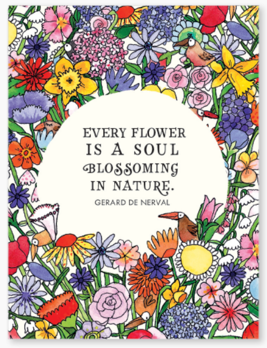 Affirmations -Twigseeds 24 Cards - A Little Box of Sunshine - DSU