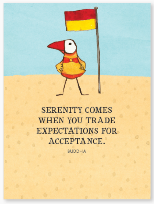 Affirmations -Twigseeds 24 Cards - A Little Box of Serenity - DSE