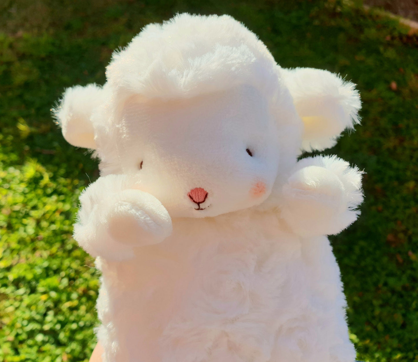 Bunnies by the Bay Wee Kiddo Sheep/ Lamb 15cm
