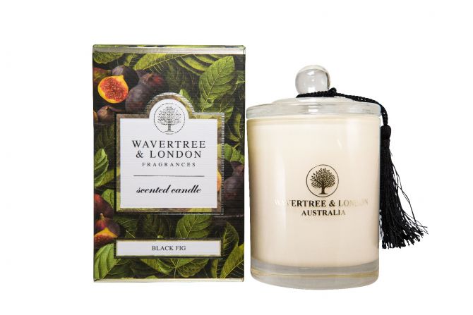Wavertree & London Candle Black Fig 60 hours 330g